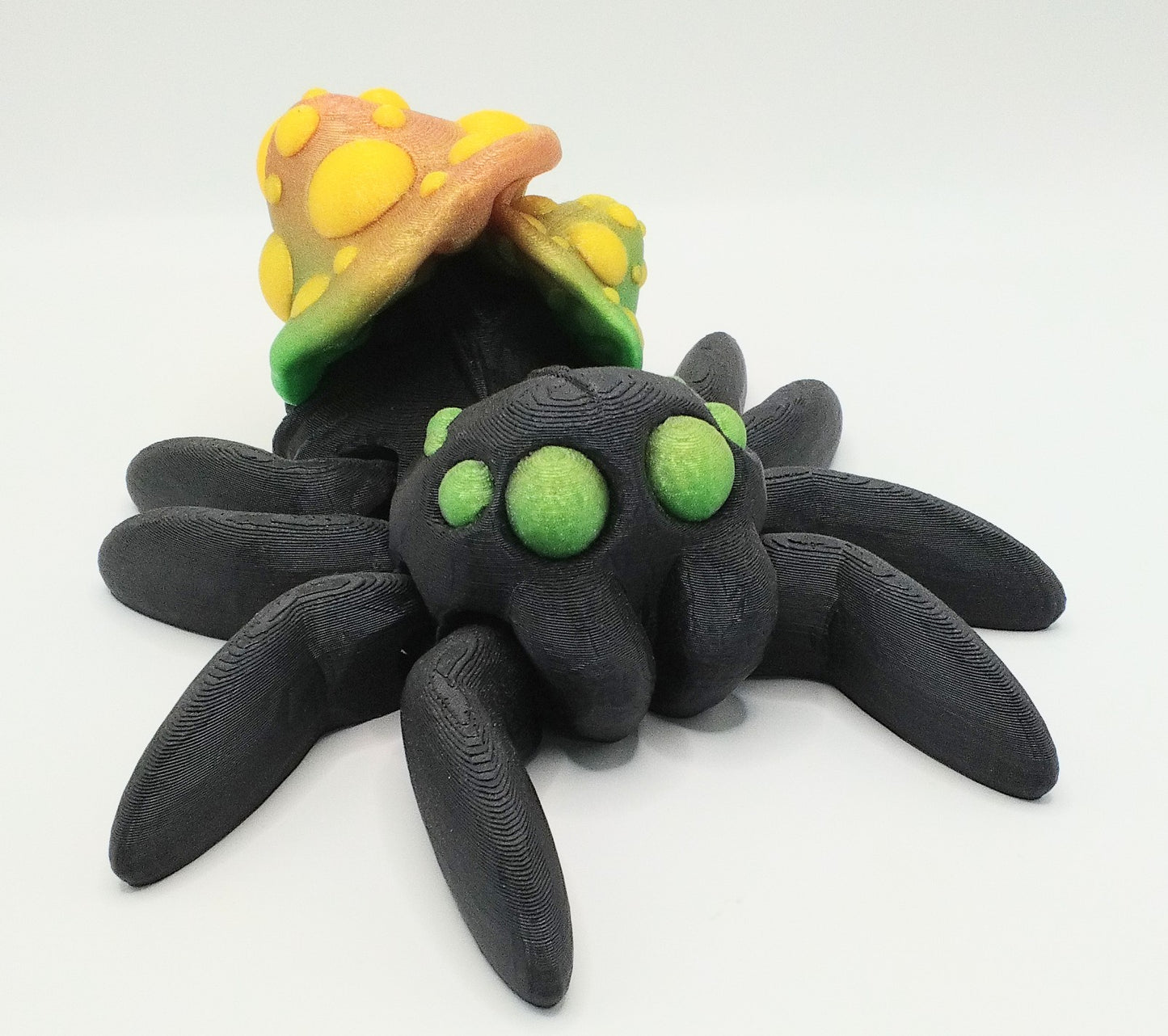 Large Mushroom Spider