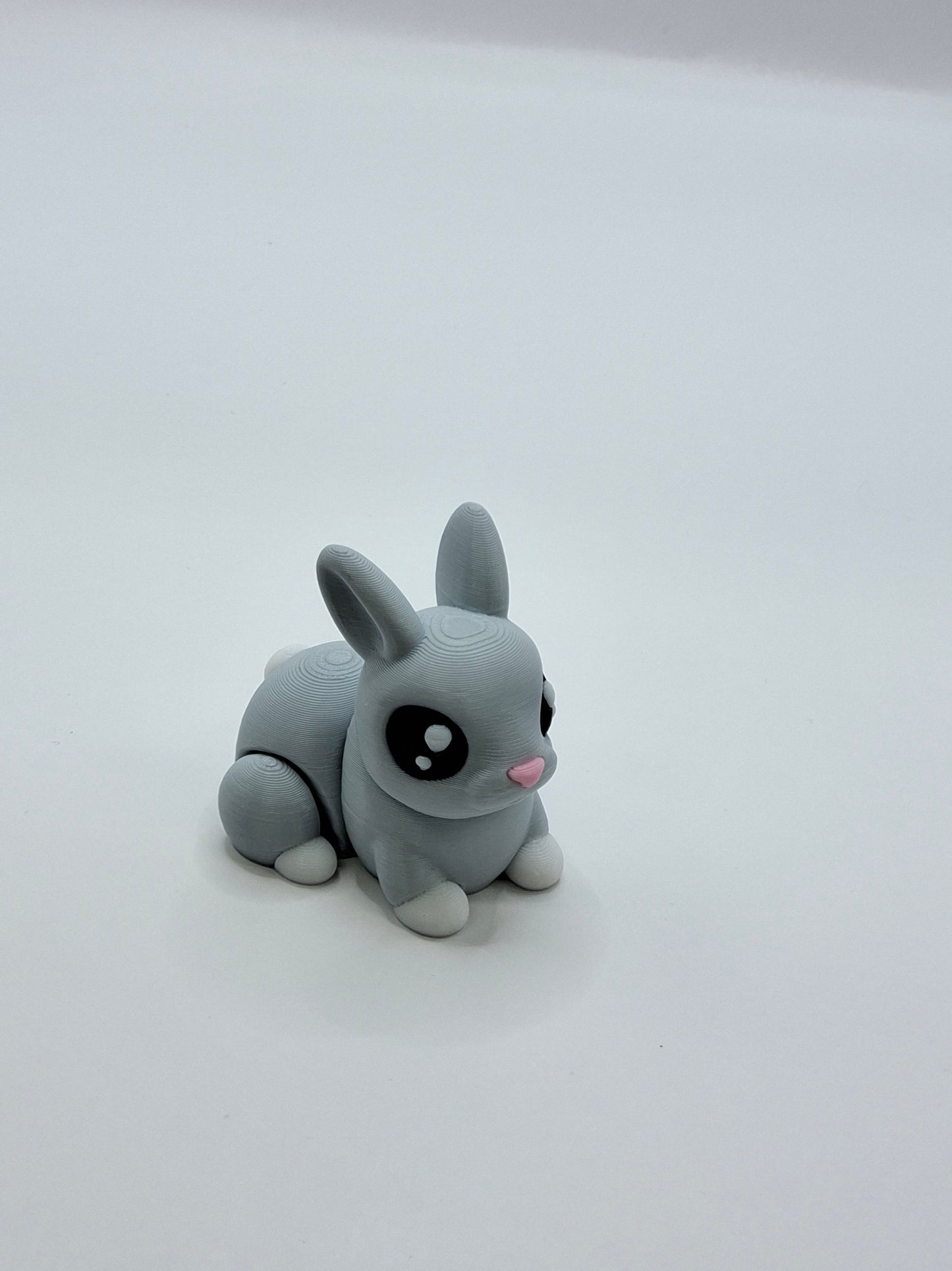 Bunny
