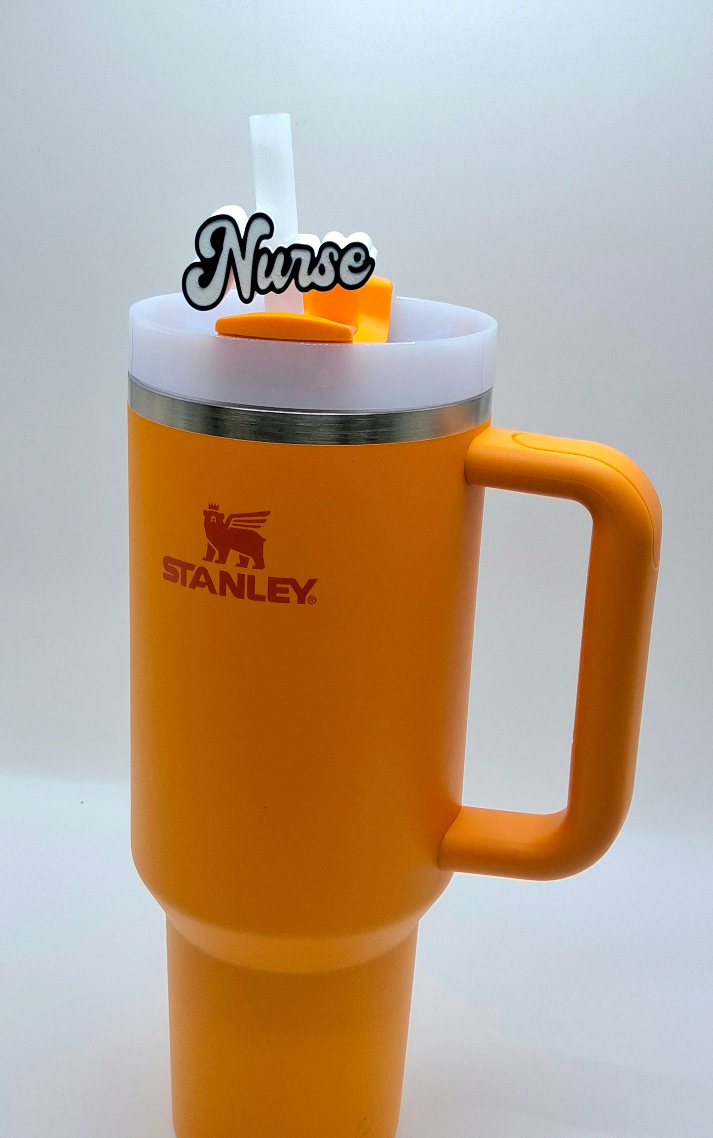 Nurse Straw Buddy