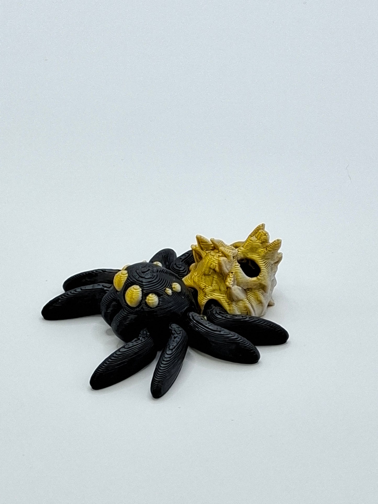 Hollow Spider