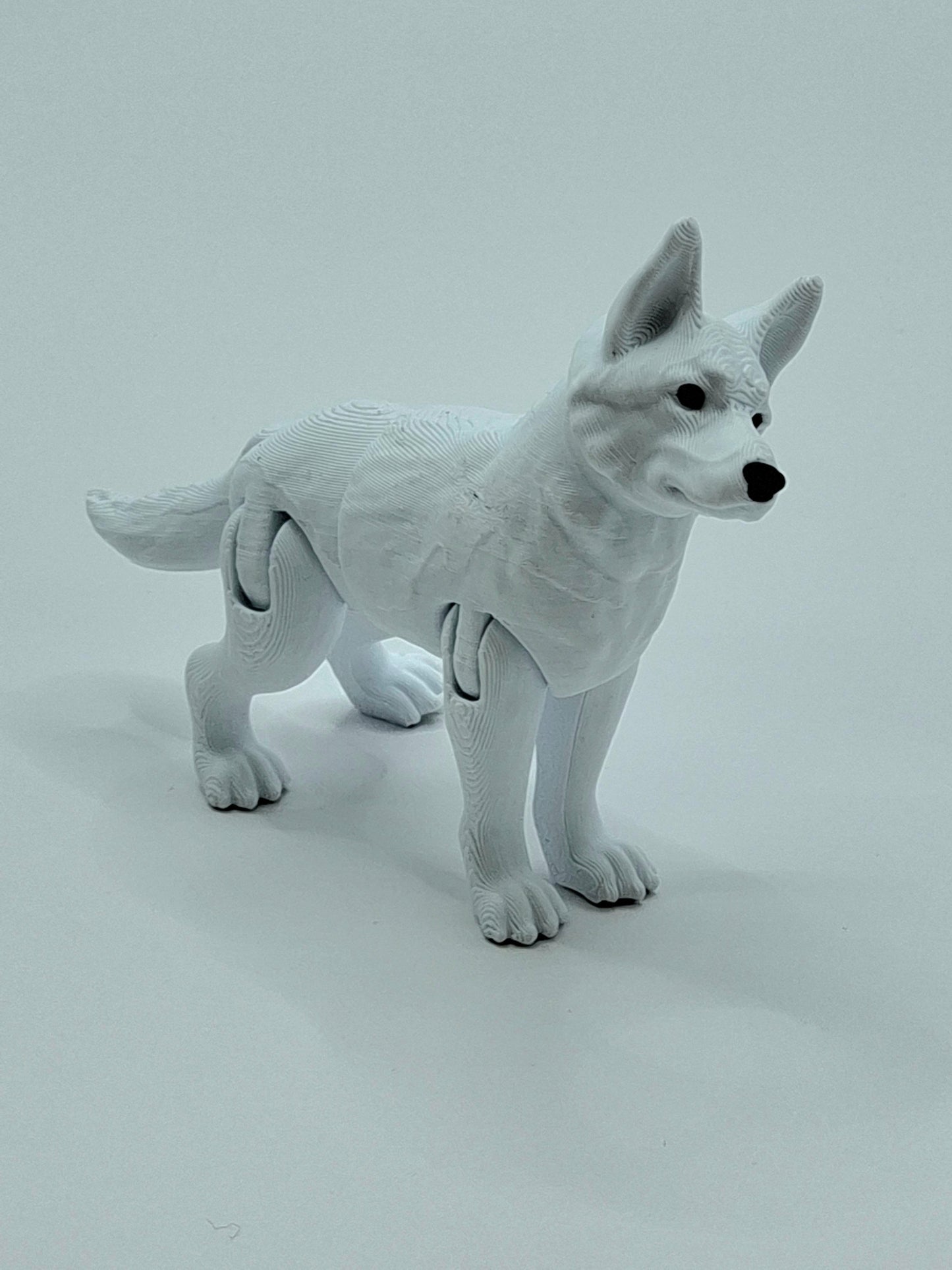 White German Shepherd