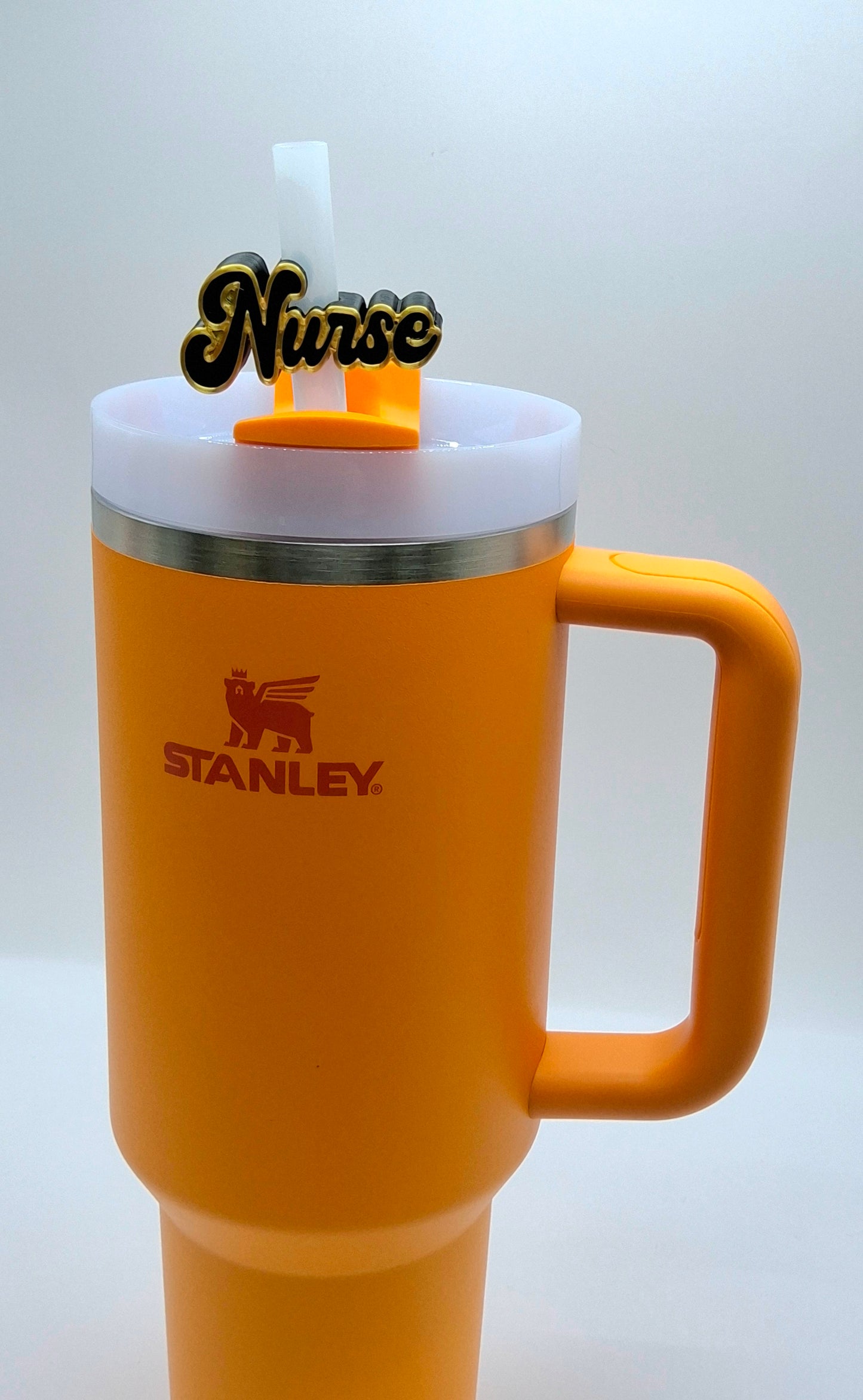 Nurse Straw Buddy