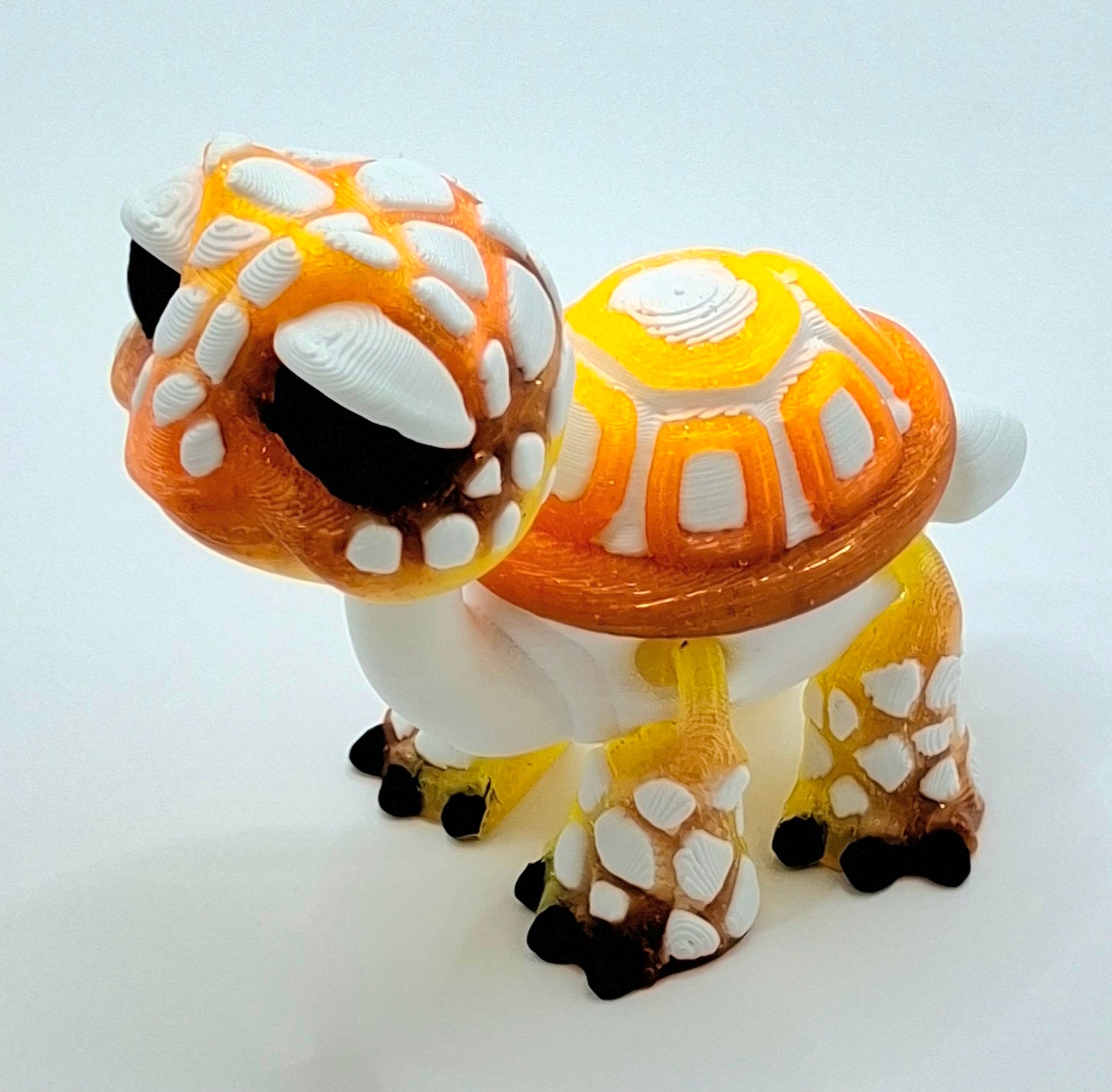 Rainbow Tortoise Mini