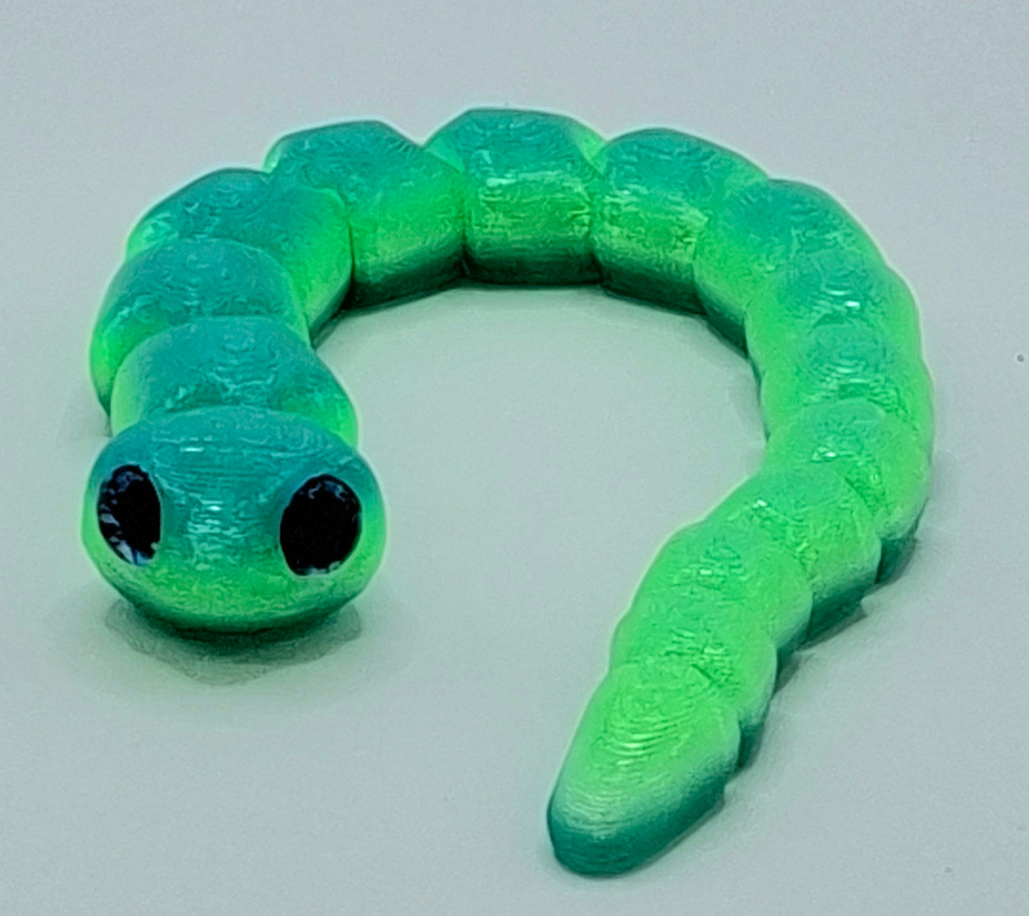 Worm Snakes