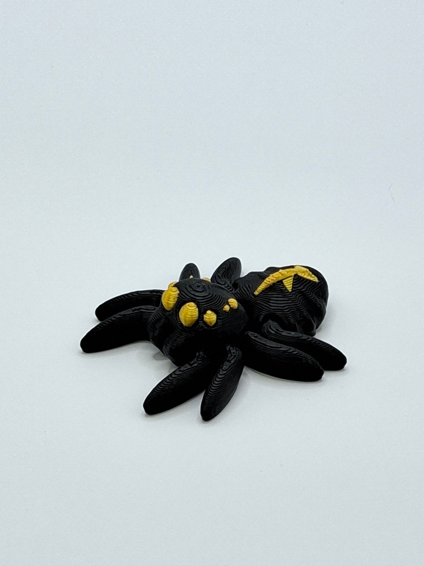 Widow Spider