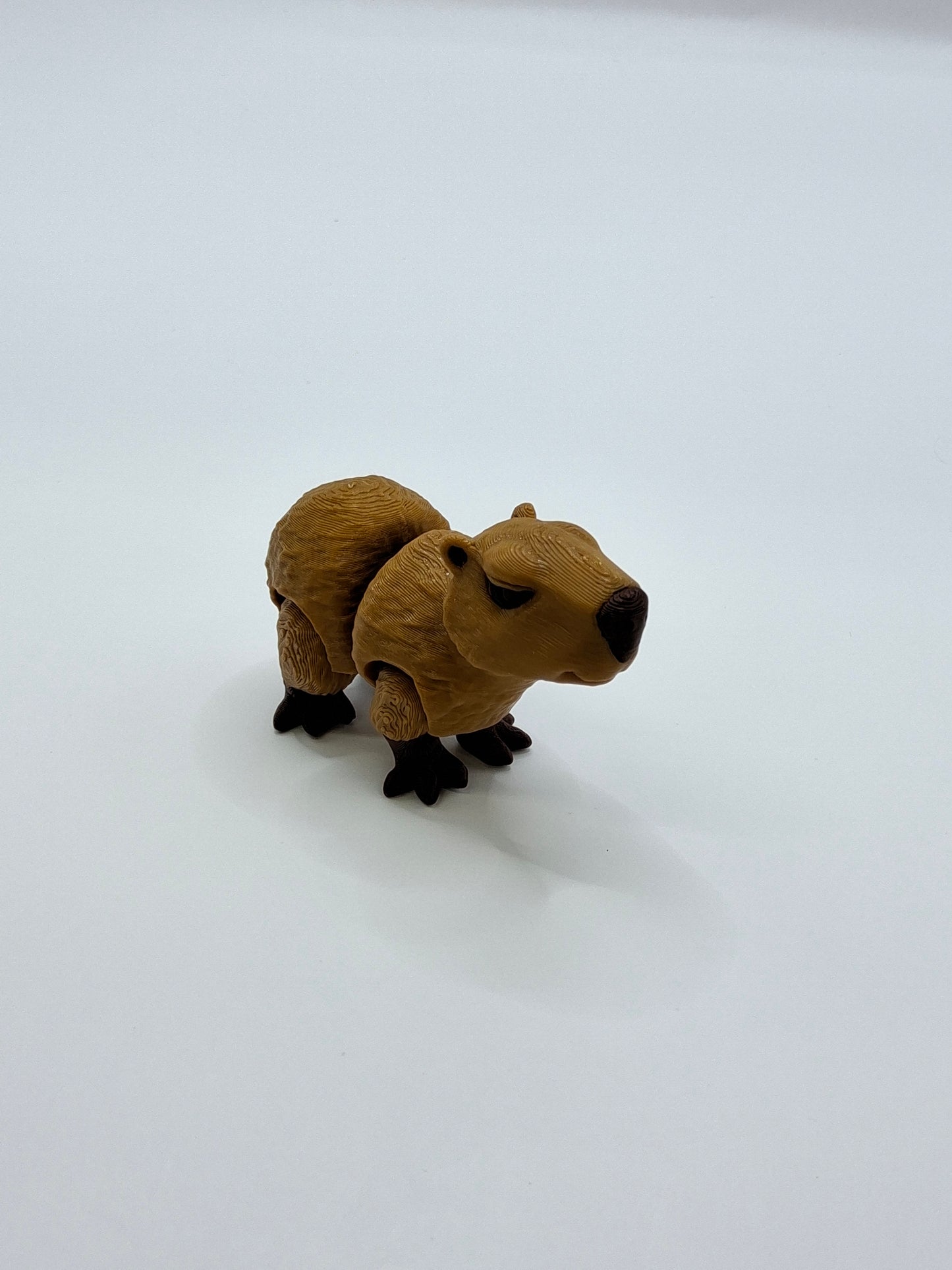 Capybara