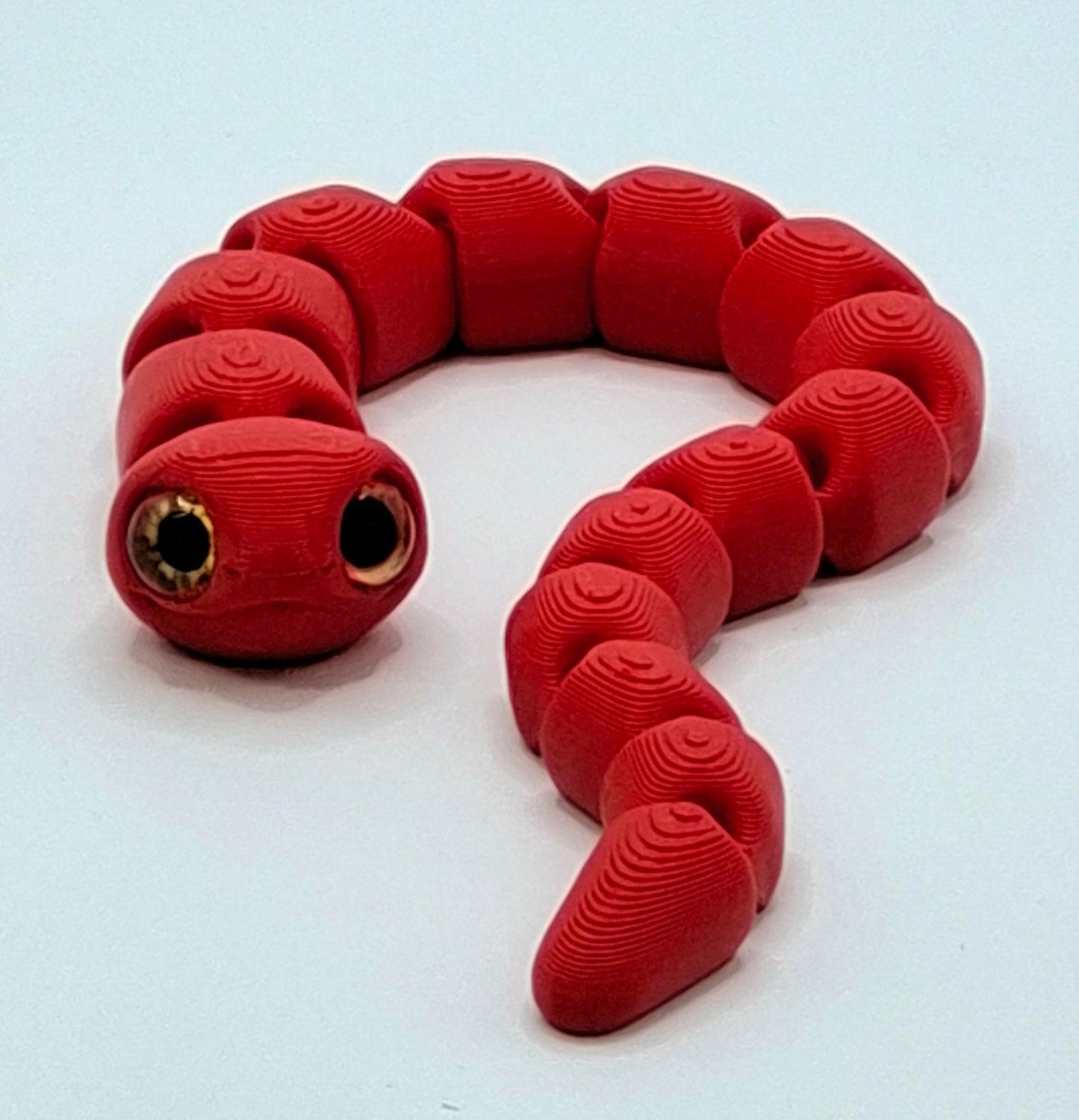 Worm Snakes