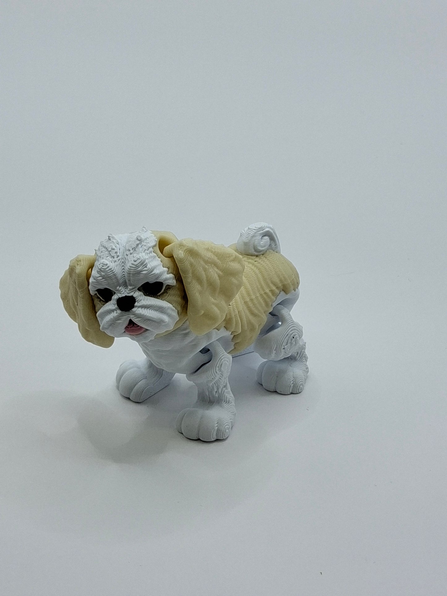 Shih Tzu Blonde