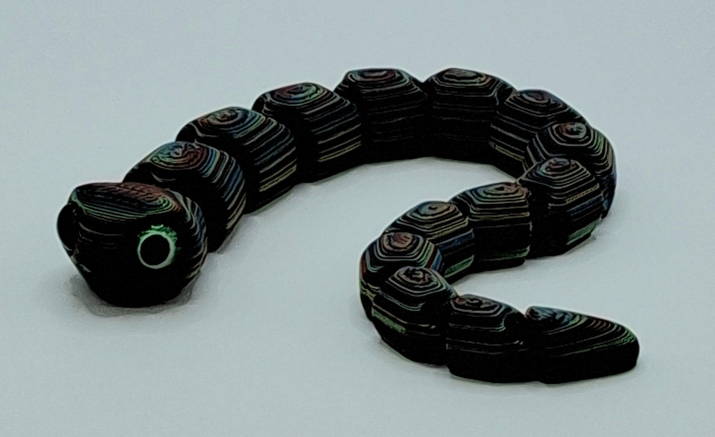 Worm Snakes