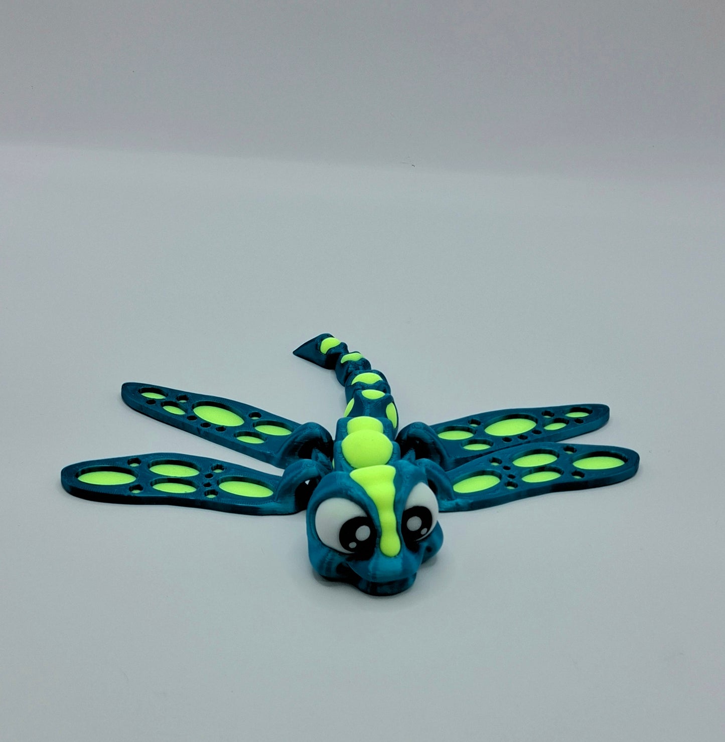 Medium Dragonfly