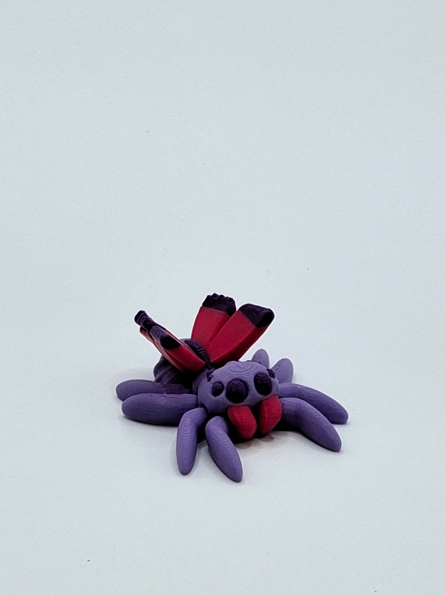Fairy Spider
