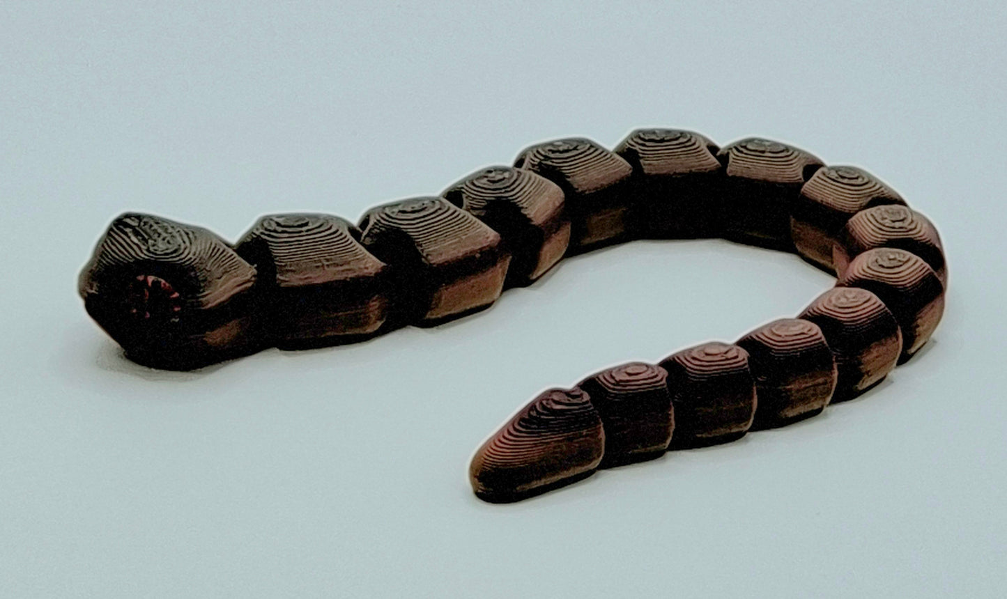 Worm Snakes