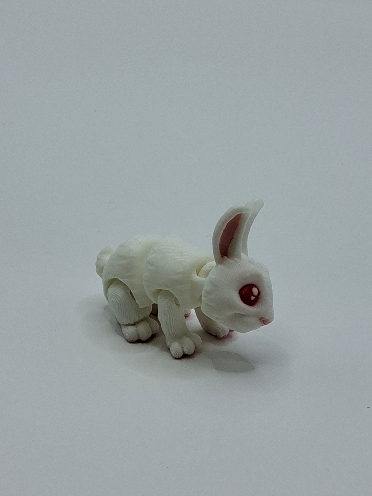 Rabbit