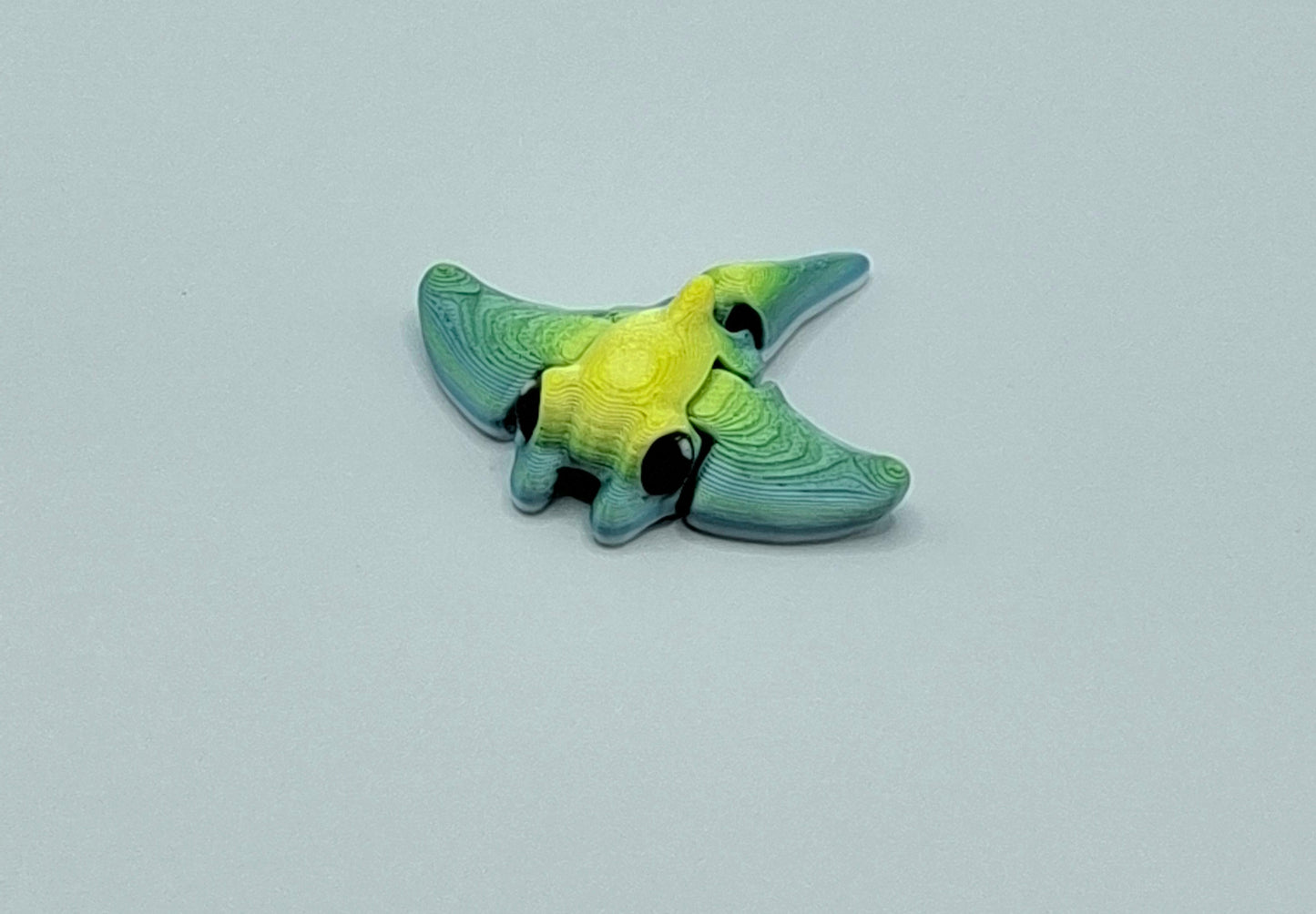 Tiny Ray
