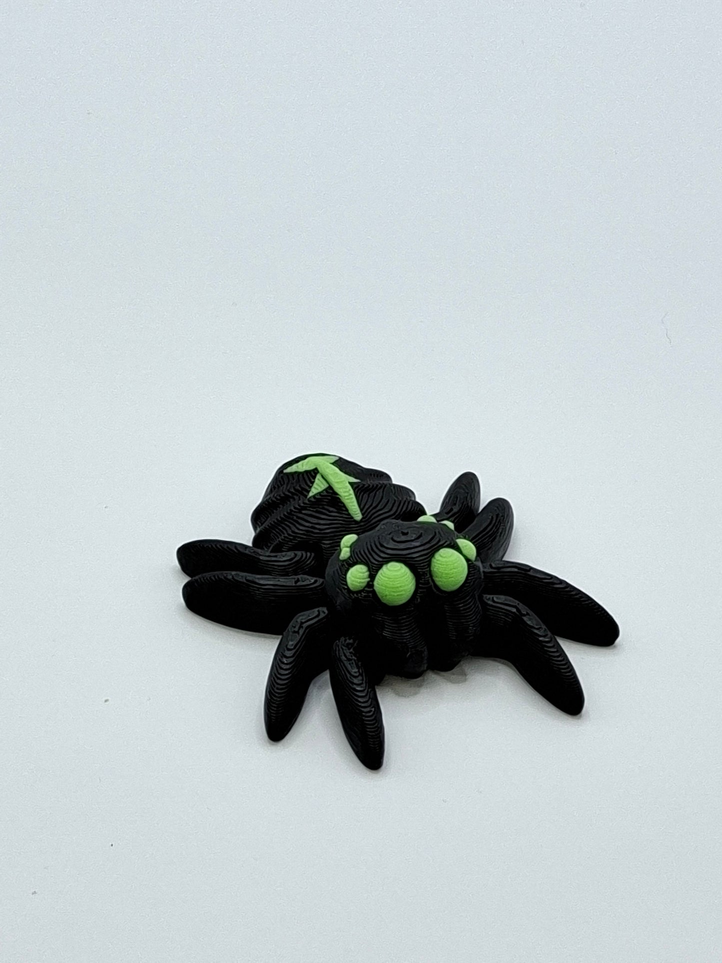 Widow Spider