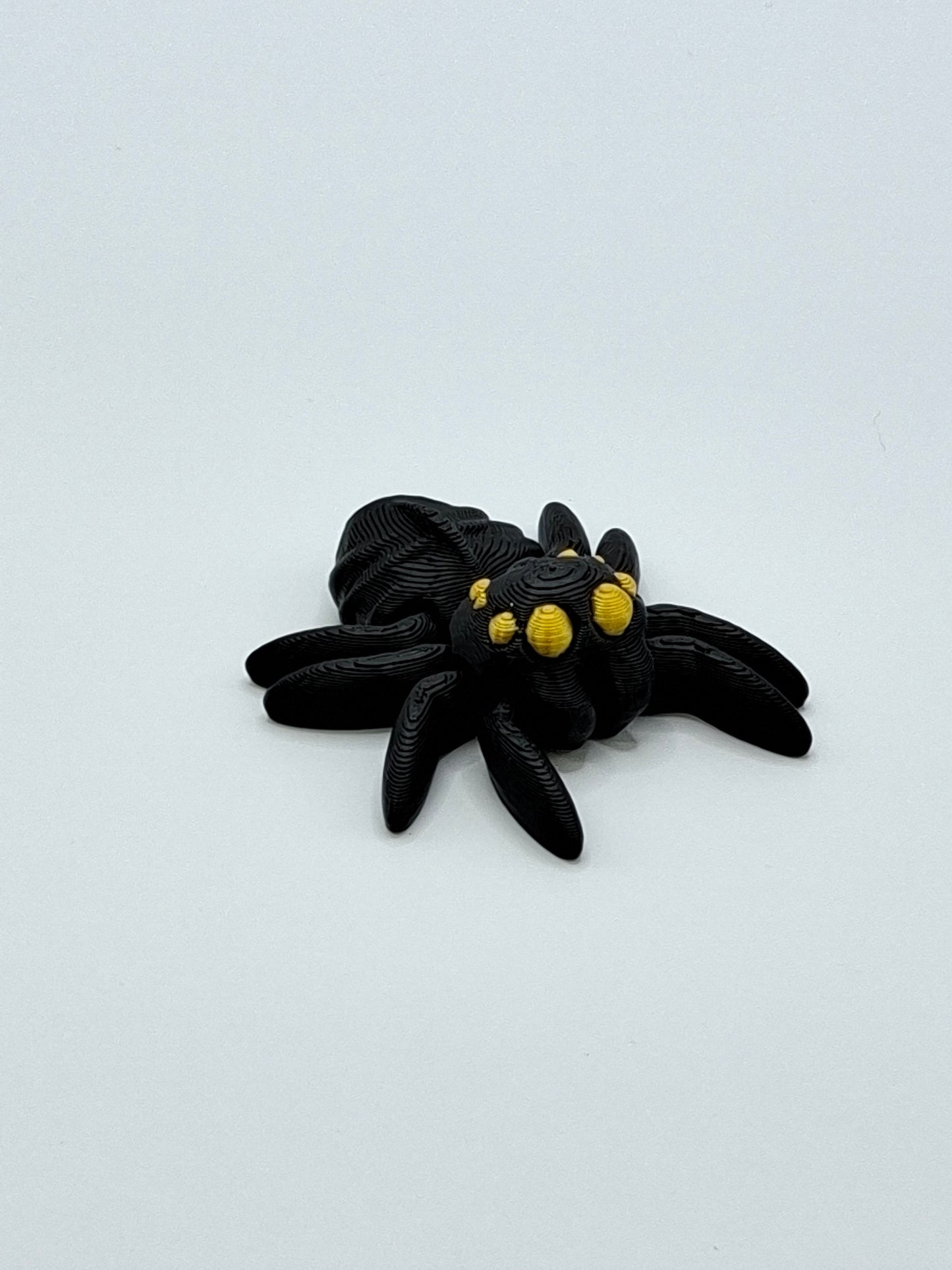Spider