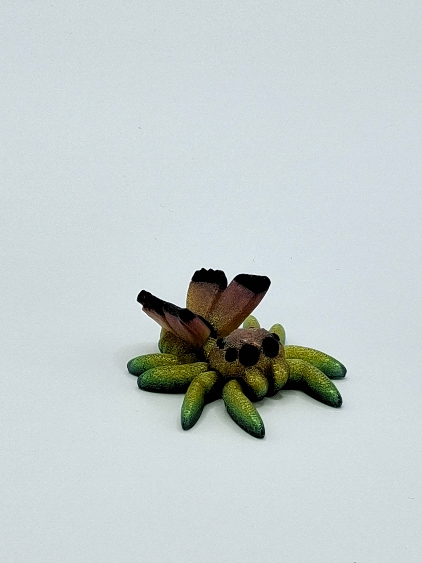 Fairy Spider