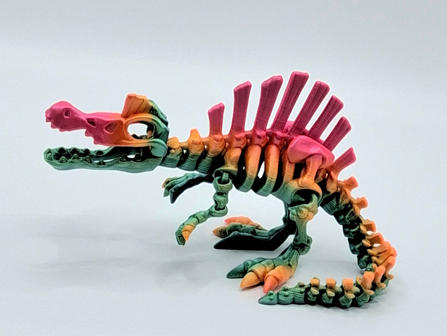 Spinosaurus Medium