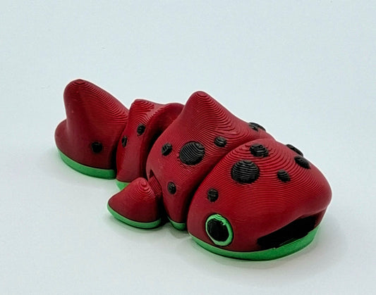 Watermelon Whale Shark