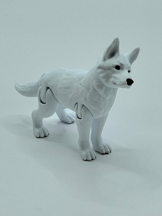 White German Shepherd