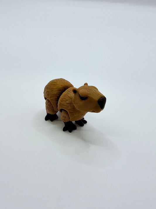 Capybara