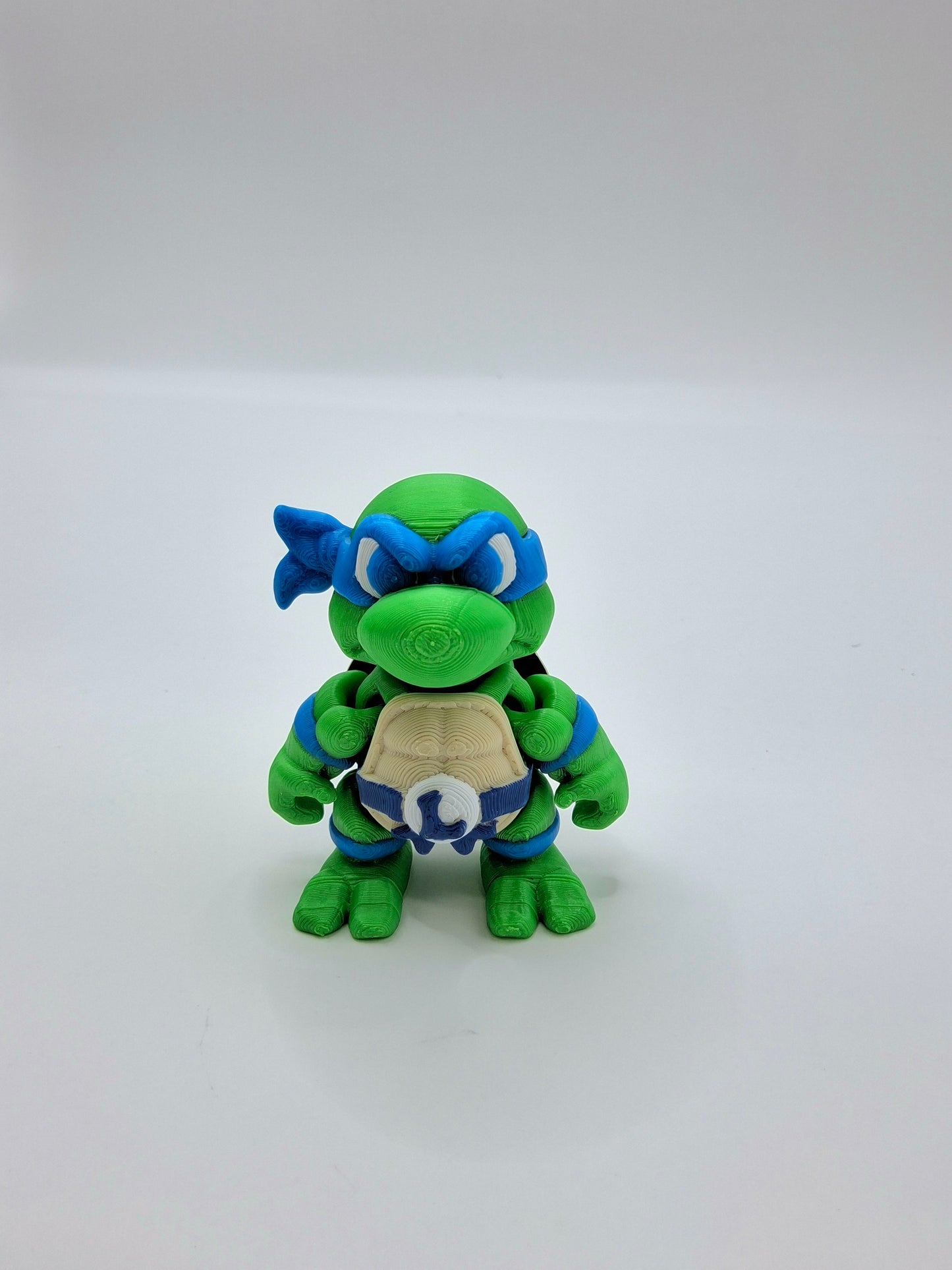 Ninja Turtle