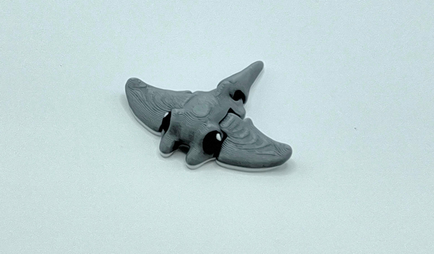 Tiny Ray