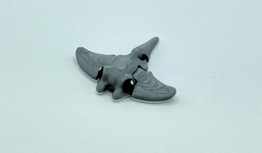 Tiny Ray