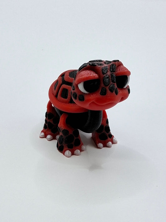 Georgia Tortoise