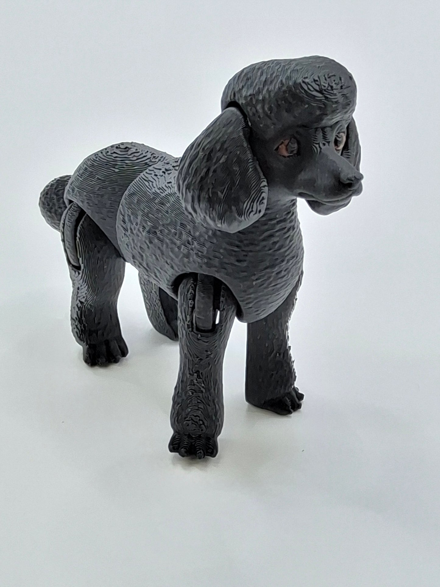 Poodle