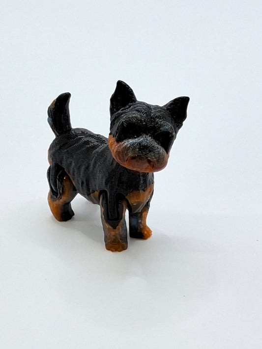 Yorkie