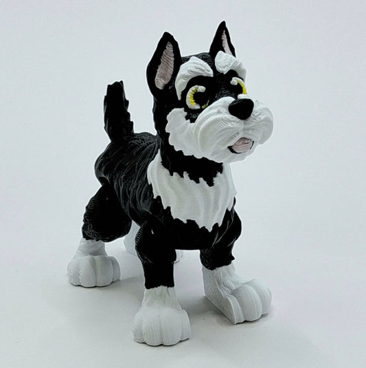 Schnauzer Black and White