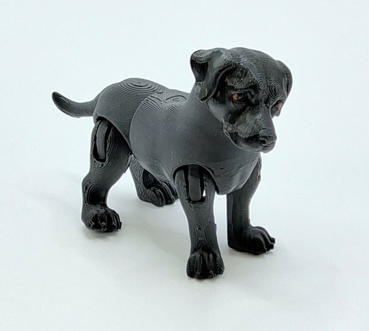 Black Lab