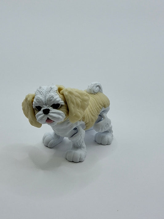 Shih Tzu Blonde