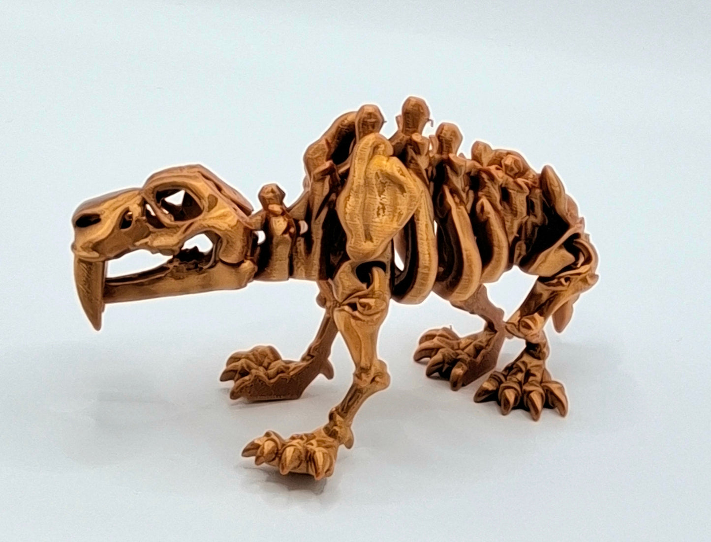 Med Saber Tooth Tiger