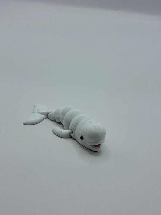 Beluga Whale