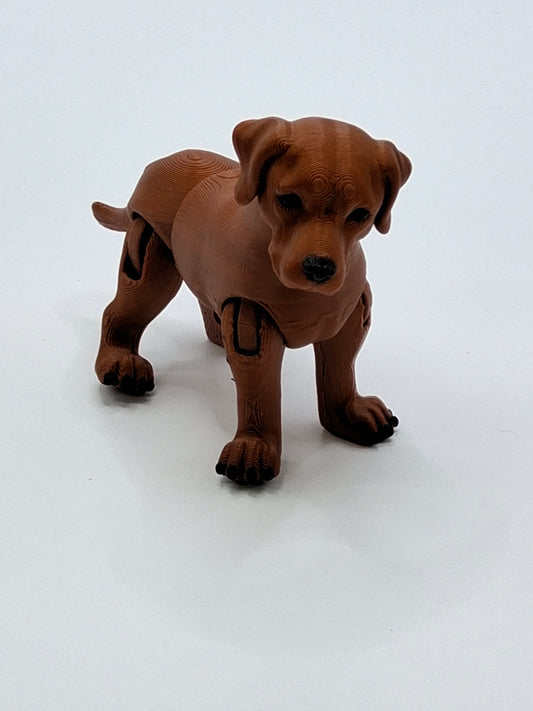 Brown Lab