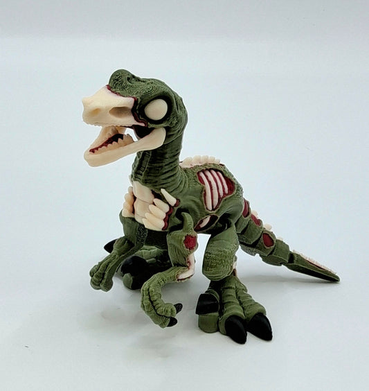Zombie Raptor