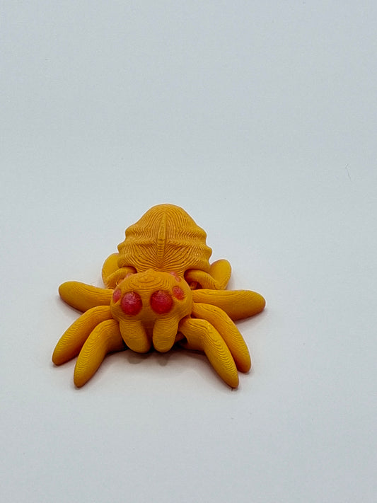 Spider
