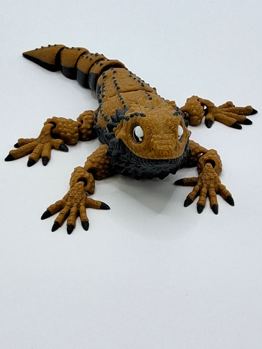 Bearded Dragon