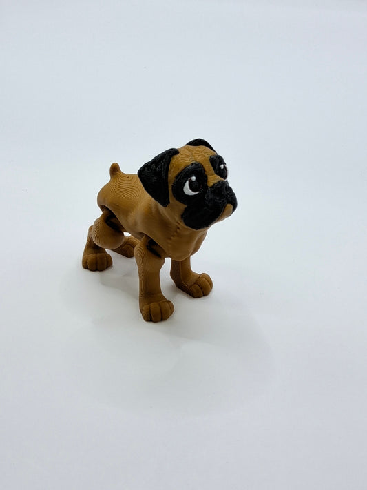 Boxer