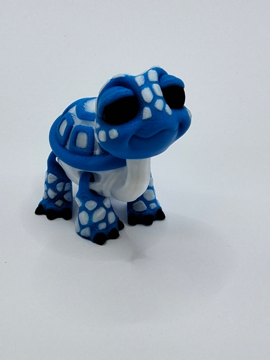 Kentucky Tortoise