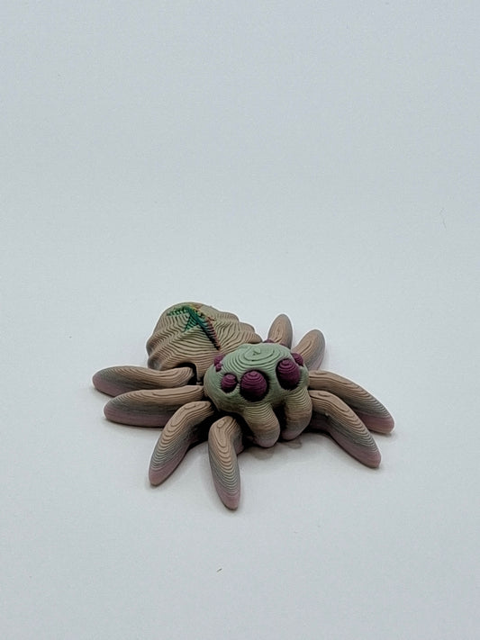 Widow Spider