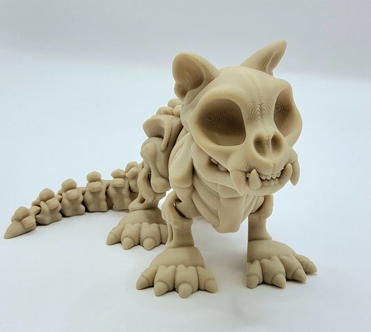 Skelly Cat