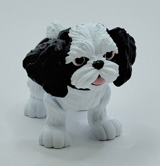 Shih Tzu