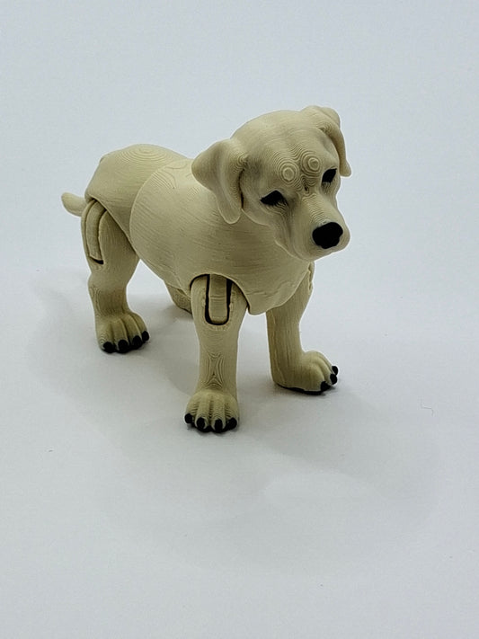 Yellow Lab