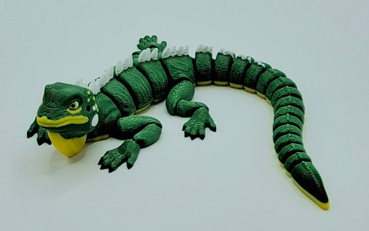 Iguana
